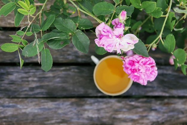Teaparty in landelijke stijl in zomertuin in het dorp Vintage keramiek kopje kruidenthee op gras en bloeiende roze rozen in zonlicht