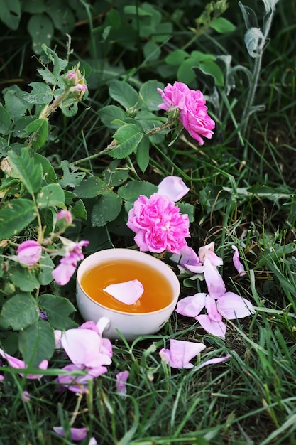 Teaparty in landelijke stijl in zomertuin in het dorp vintage kopje groene kruidenthee op gras en bloeiende roze rozen in zonlicht