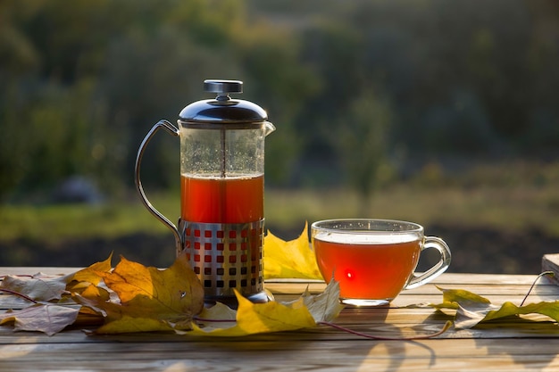 Teapot with tea and cup near autumn leaves