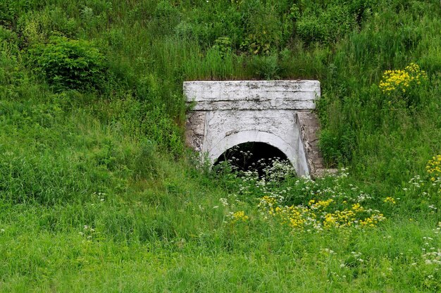 写真 草が生い茂った線路の下の技術トンネルモスクワ地方ロシア