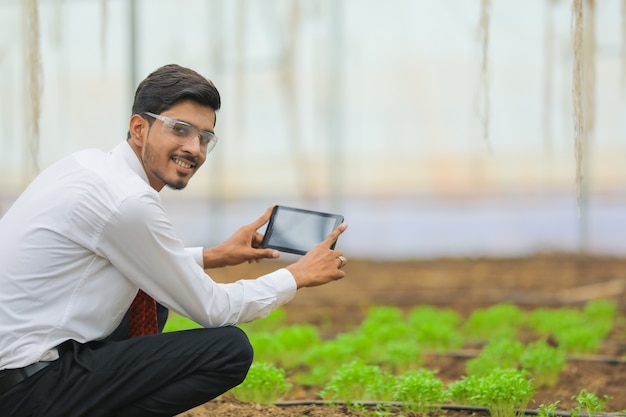 Technologie en mensen concept, jonge Indiase agronoom met behulp van tablet of smartphone op kas