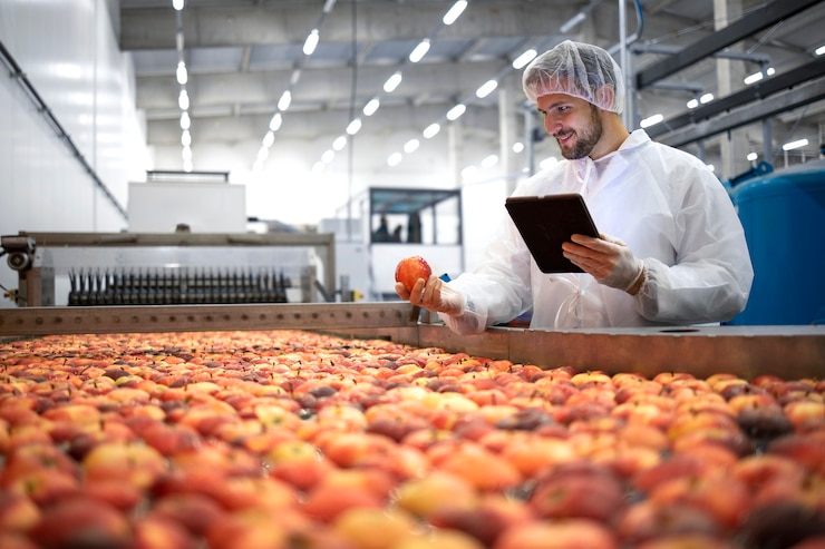 Photo technologist in food processing factory controlling process of apple fruit selection and production.