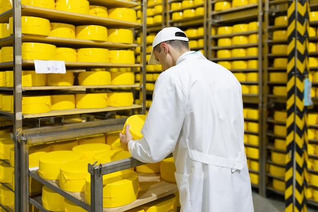 Technologist with cheese in his hands make an inspection of ready prooduction at the department of dairy factory