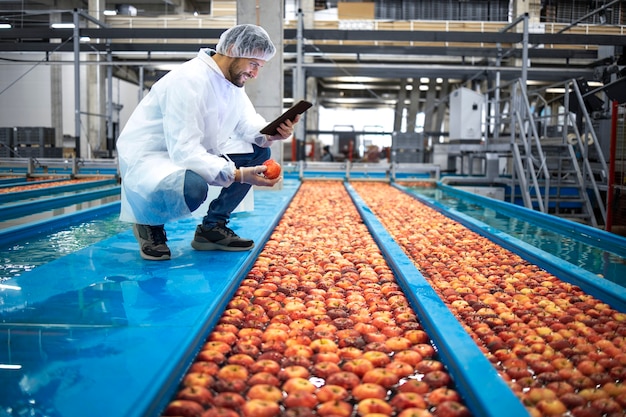 Photo technologist with tablet computer doing quality control of apple fruit production in food processing plant.