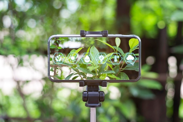 The Environmental Impact of Influencers: Green Trends in Content Creation