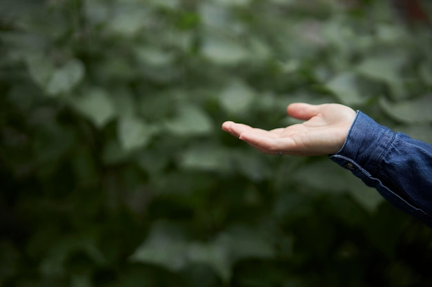 Mano della ragazza di tecnologia con le icone dell'ambiente attraverso su una priorità bassa verde