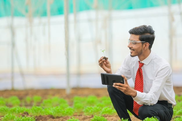 Technology and people concept, Young indian agronomist with tablet at greenhouse