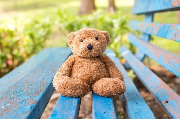 teddy bear on bench