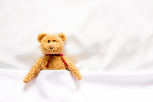 Teddy Bear doll lying in the white bed