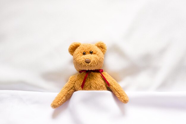 Teddy Bear doll lying in the white bed