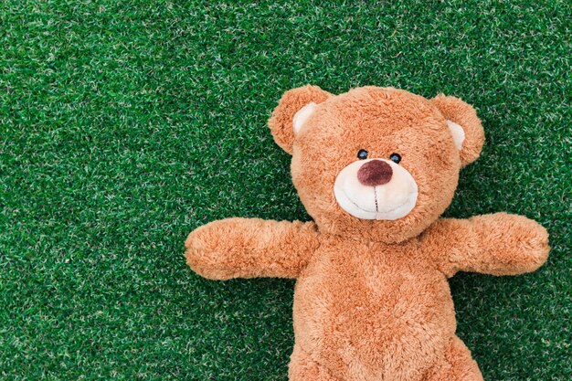 A teddy bear on a green grass background