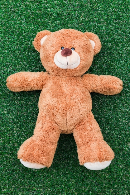 A teddy bear on a green grass background