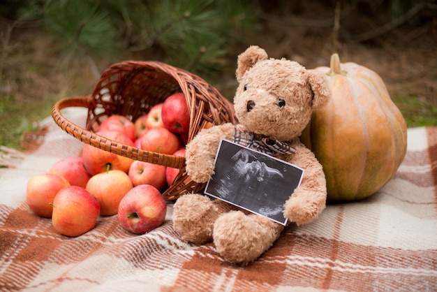 Teddy bear holding ultrasound photo of baby, autumn with basket and apples