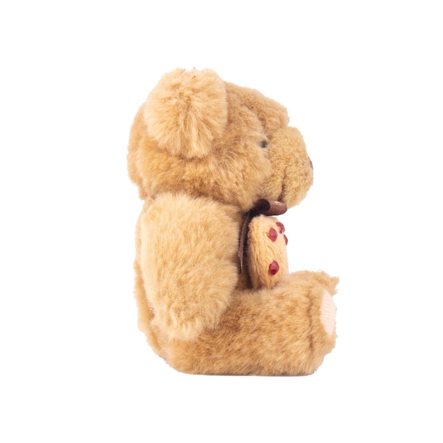 Teddy bear isolated on white background