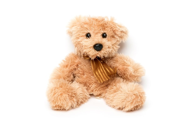 Teddy bear isolated on white background