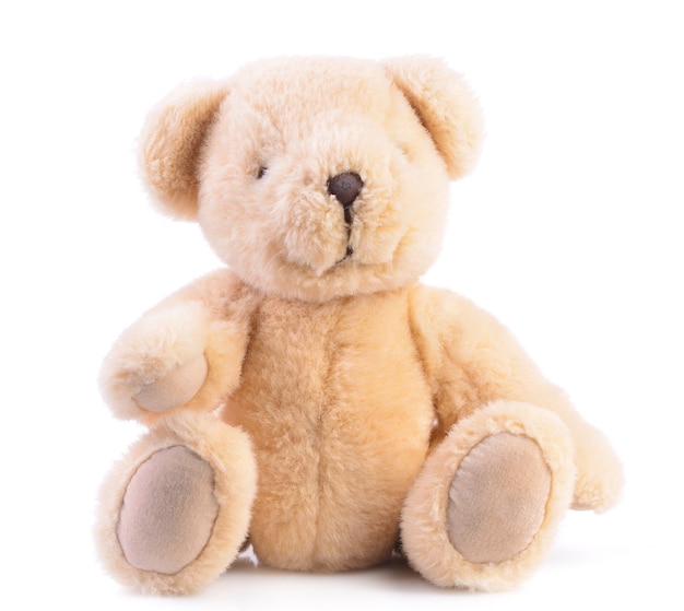 Teddy bear isolated on a white