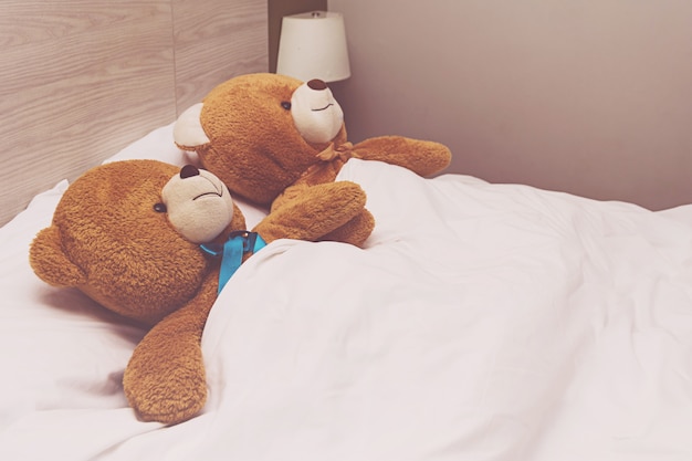 Teddy Bear lying in the bed