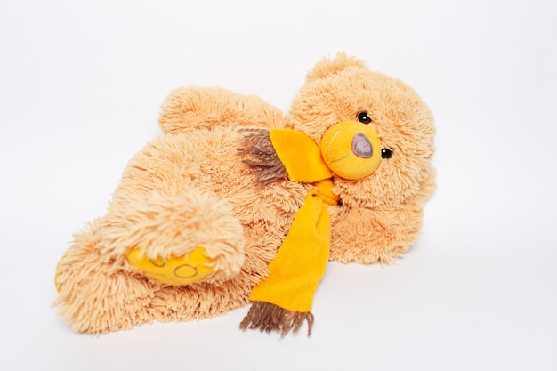 Teddy bear lying on white studio background.