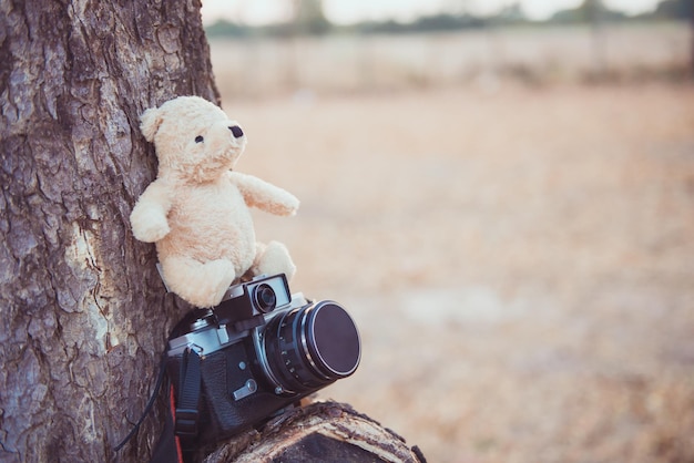 Photo teddy bear and old camera on tree vintage style