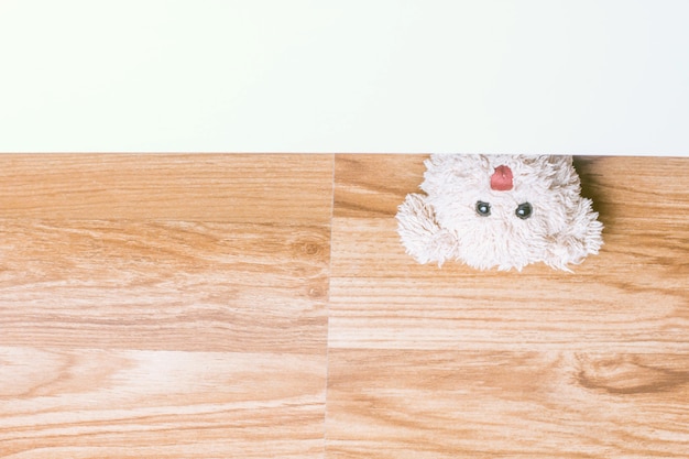 Teddy bear play hide and seek in the house ,Happy feeling 