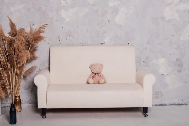 Teddy bear sits on a beautiful white sofa