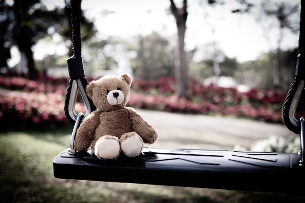 teddy bear sitting on swing