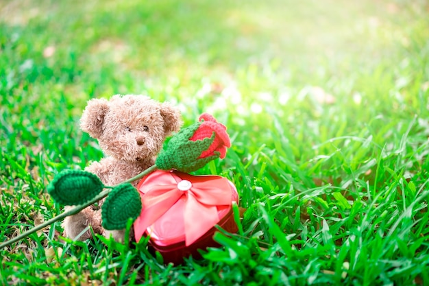 Плюшевый мишка сидит с красной розой и сердечным подарком на траве. валентина концепции.