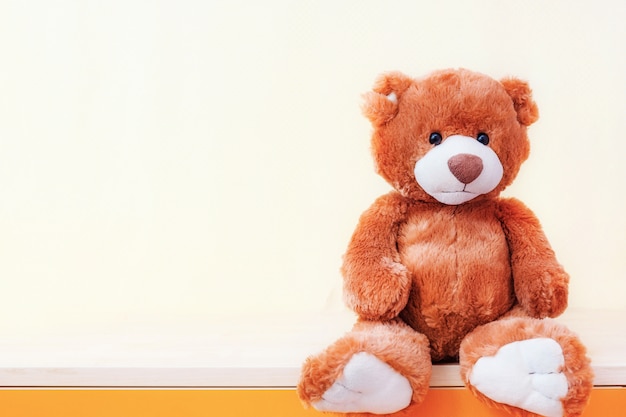 Premium Photo  Beautiful teddy bear with big eyes on a blue