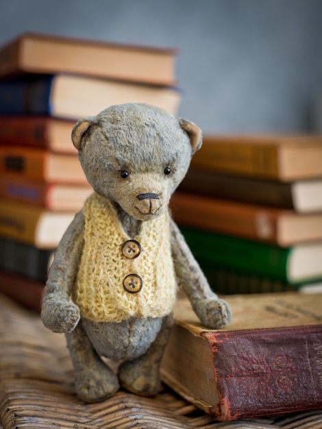 Teddy bear teddy reading book in the library