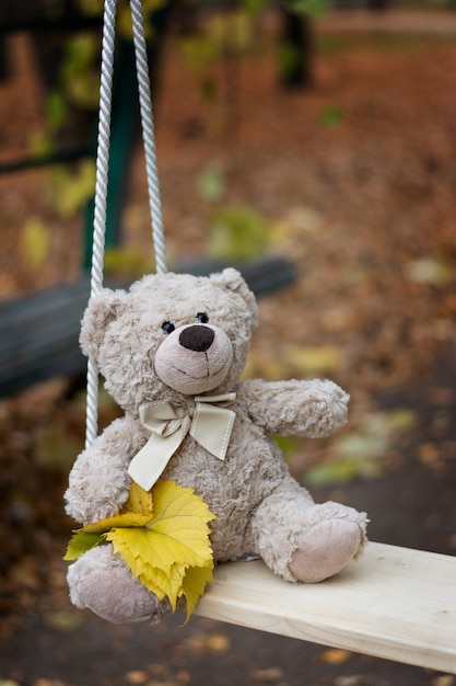 A teddy bear Teddy sits on a swing