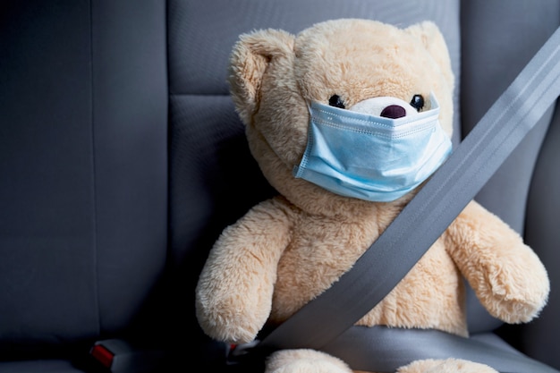 Teddy bear wearing a mask wearing a seatbelt in the car