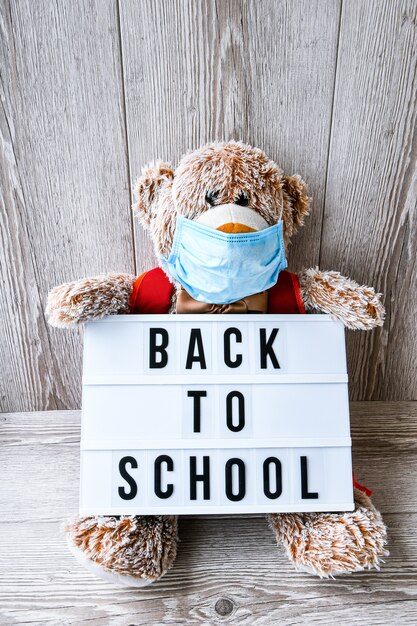 Teddy bear wearing mask with backpack