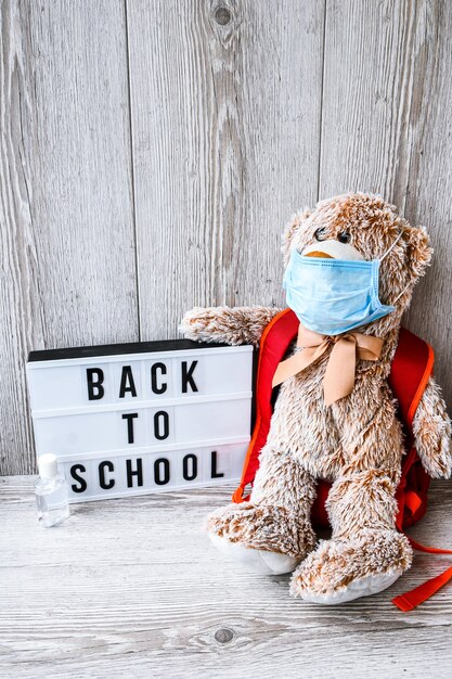 Teddy bear wearing mask with backpack