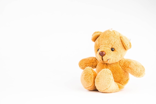 Teddy bear on white background