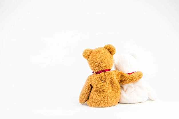 Teddy bear on white background