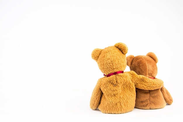 Teddy bear on white background