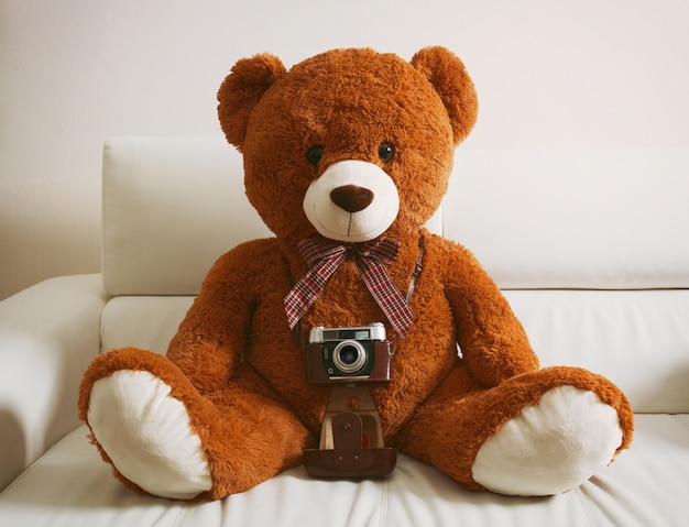 Teddybeer met vintage 35mm camera