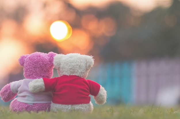 Teddybeer met zonsondergang