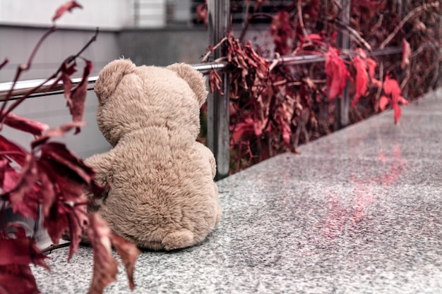 Teddybeer op de rand van de reling, kijkend naar de winkeldeur