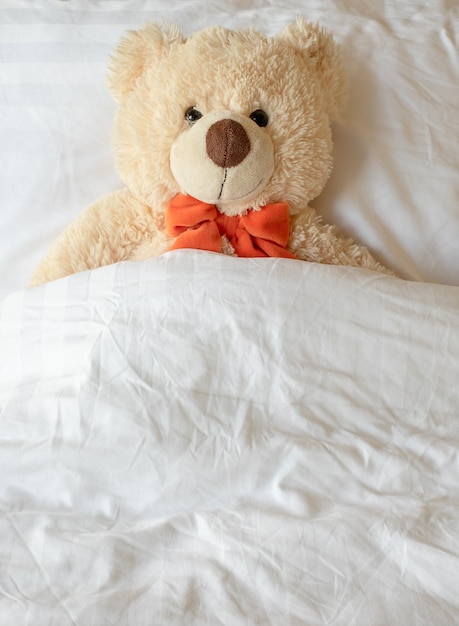 teddybeer slaap in het bed