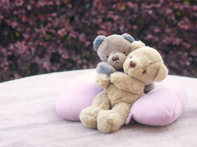 Teddybeerliefde voor valentijnskaartconcept