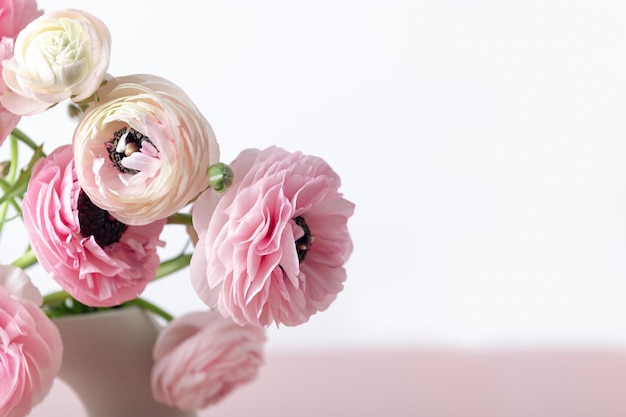 Tedere ranonkelbloemen in keramische vaas