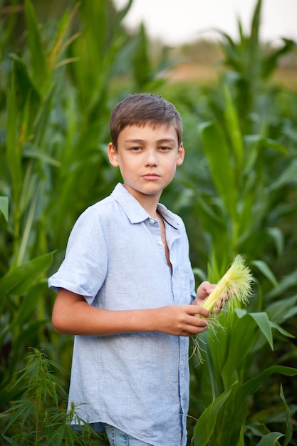 Teen boy kid in corn field in a summer day.