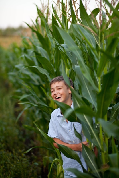 Photo teen boy kid in corn field in a summer day.