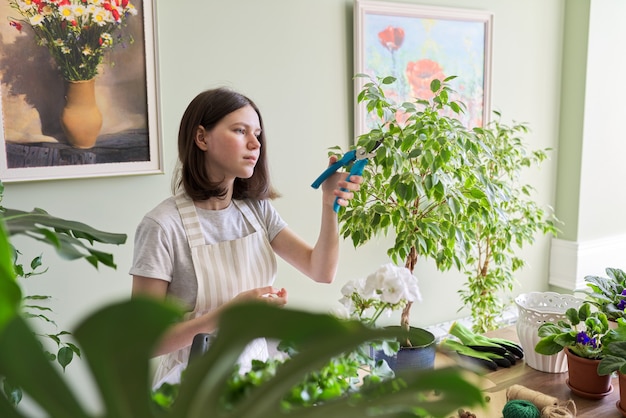 十代の少女は観葉植物のイチジクの庭の剪定ばさみをカットします。屋内鉢植えの栽培と手入れ。趣味とレジャー、家庭菜園、都会のジャングル、鉢植えの友達のコンセプト