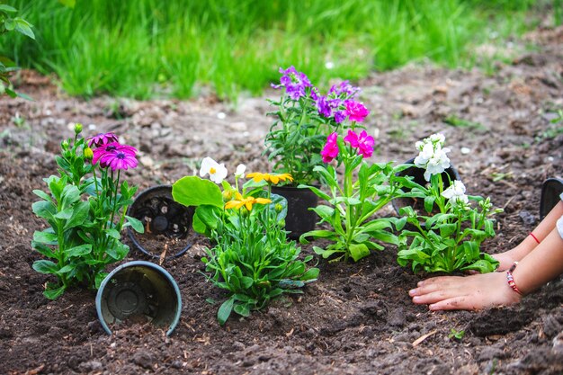 十代の少女は母親が花を植えるのを助けます