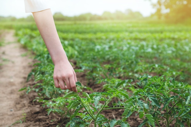 Teen girl touches hands with green plants in the garden