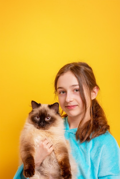 彼女の腕に猫と十代の少女黄色の背景に青いパーカーの少女