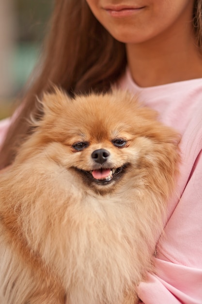 Photo teen girl with pet animal small dog holding in a hands outdoor in a park.