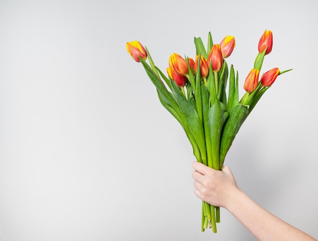 Un adolescente è in possesso di un bel bouquet di tulipani rossi e gialli su sfondo grigio primo piano spazio per la copia del concetto di tempo primaverile